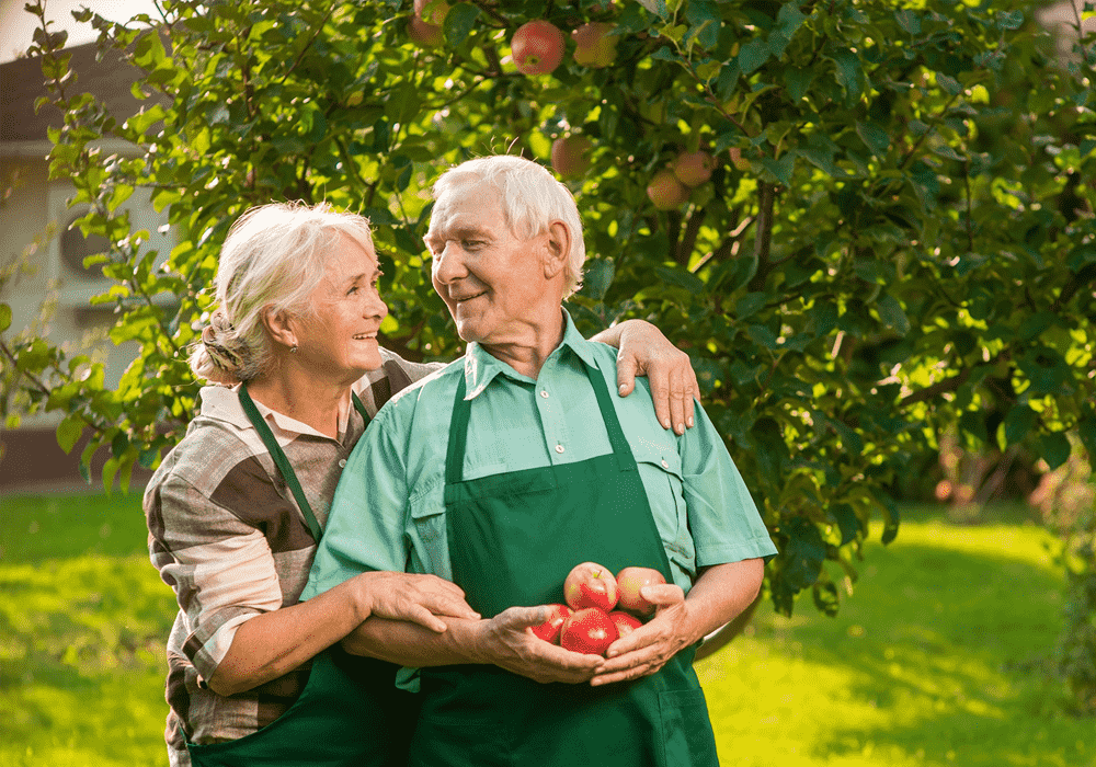 Altersvorsorge Schweiz